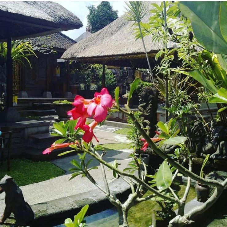 Family Guest House Ubud Kültér fotó